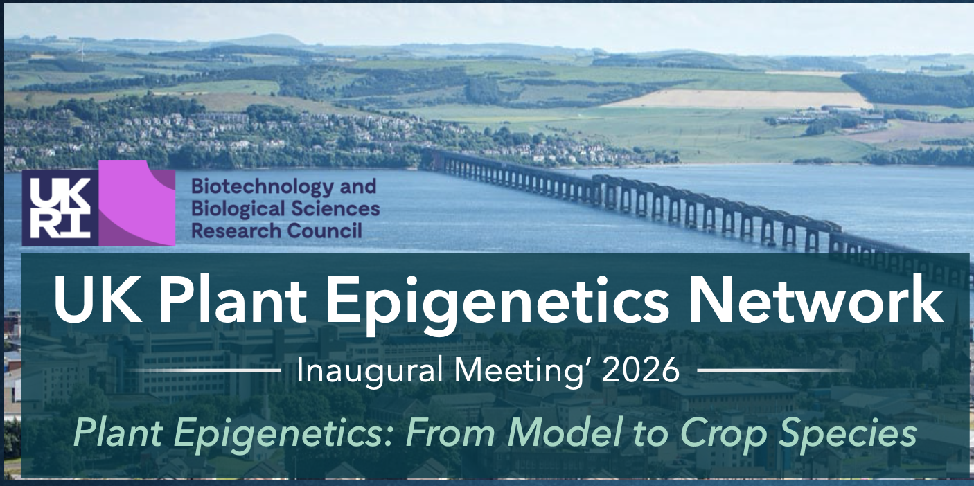 Plant Epigenetics: From Model to Crop Species