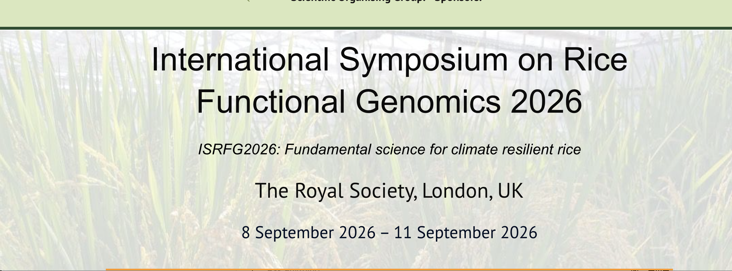 International Symposium on Rice Functional Genomics 2026 (ISRFG26)